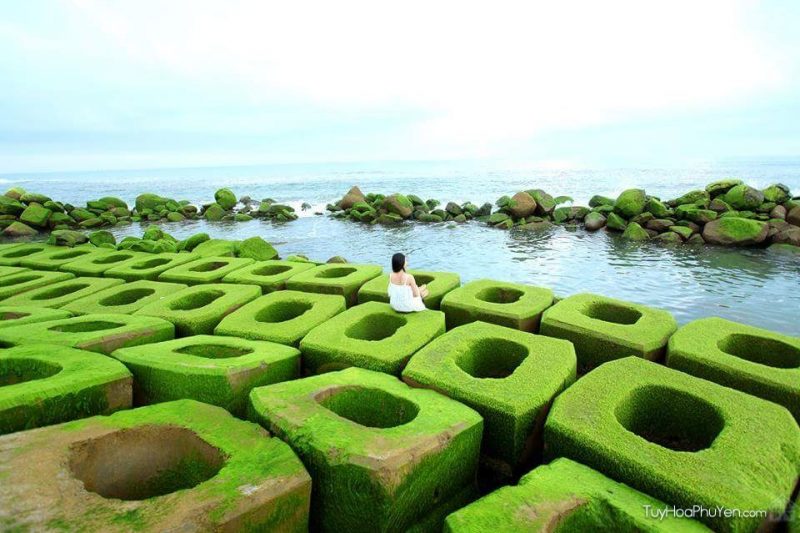 Hướng dẫn du lịch